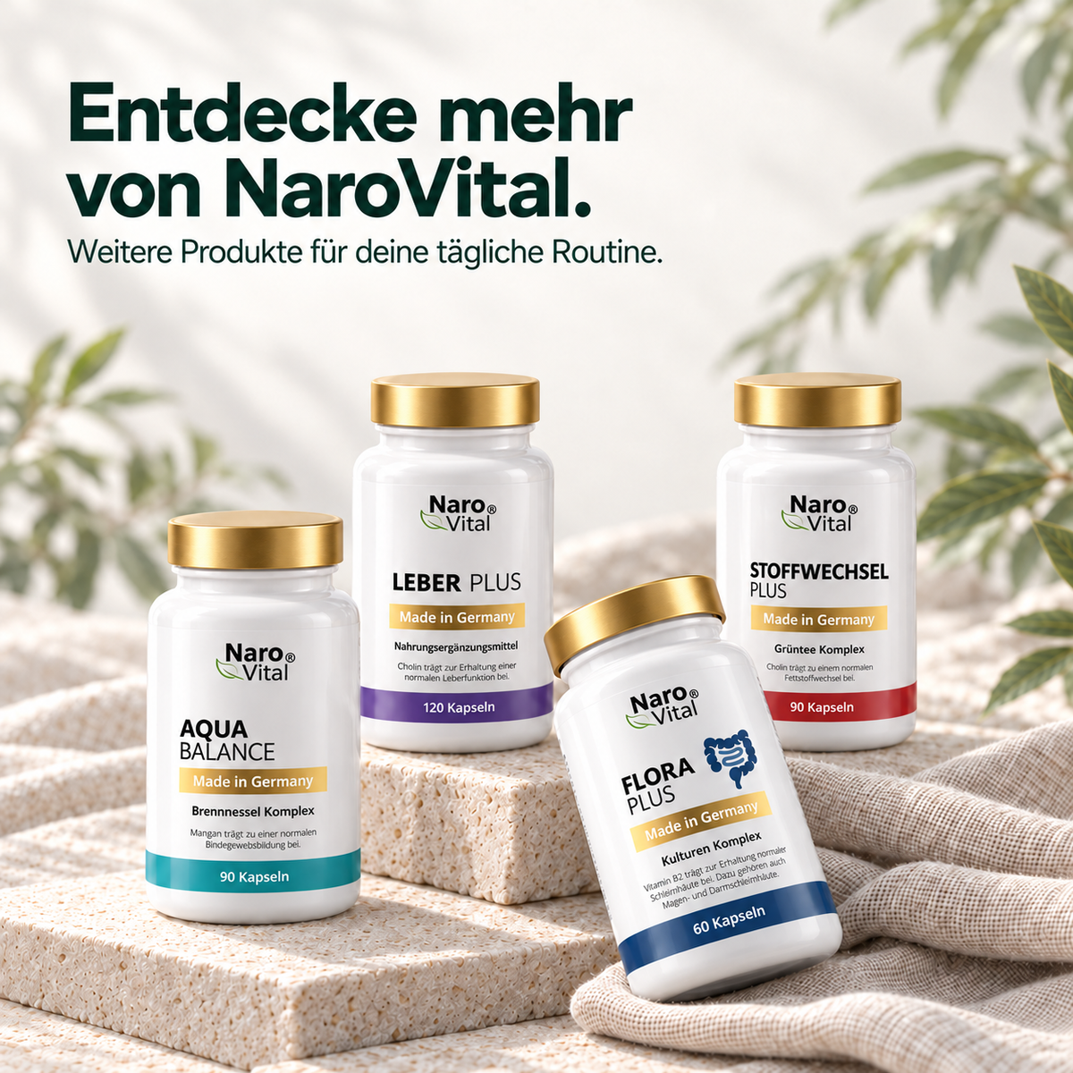 Stoffwechsel Plus – Stoffwechsel Komplex