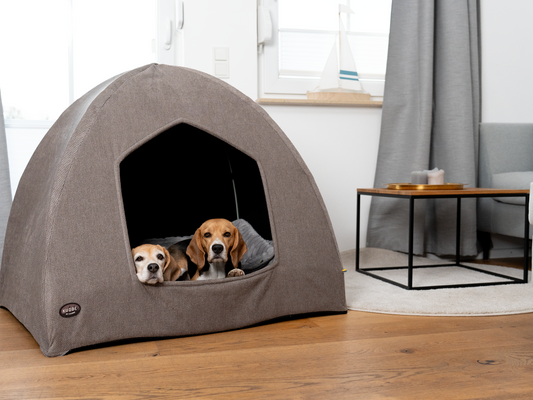 Hundehöhle zum KUDDE IGLU Hydda