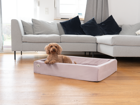 Hundebett KUDDE Samt