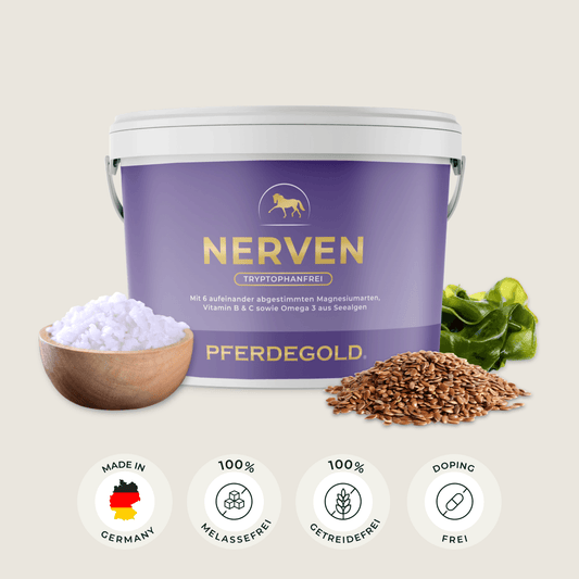 Nerven