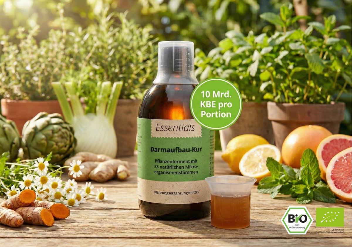 Darmaufbau-Kur Bio Ferment