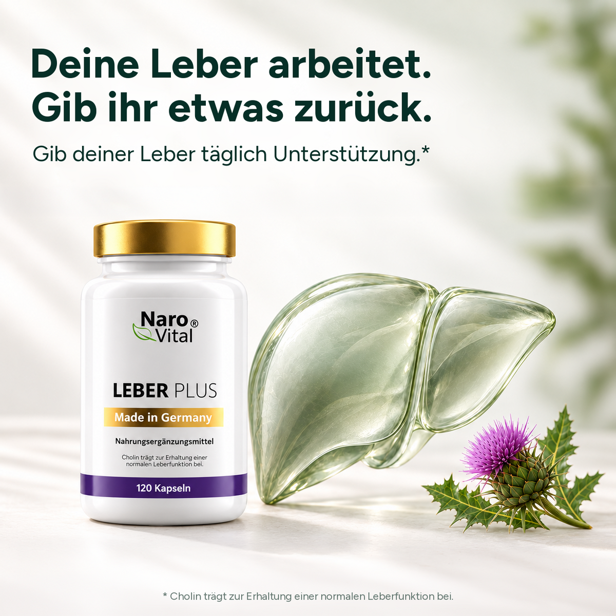 Leber Plus – Mariendistel Komplex
