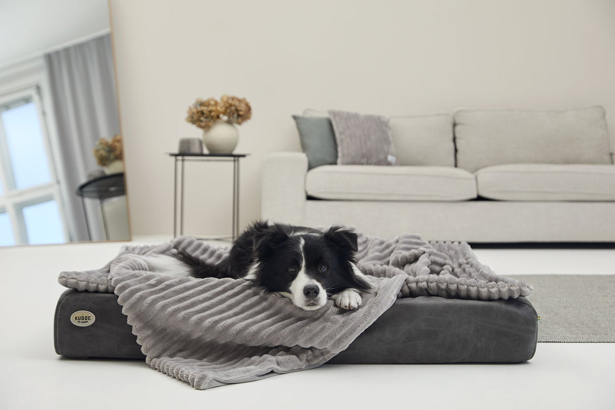Kuscheldecke VÄRME Breitcord
