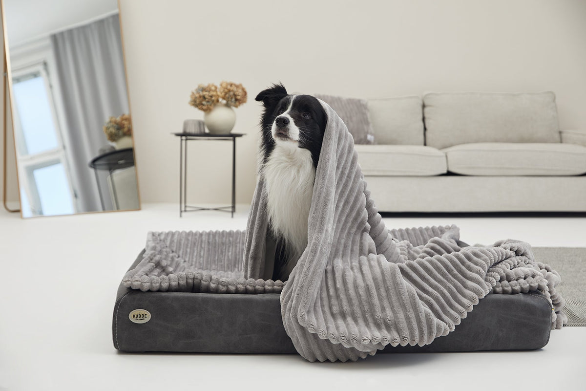 Kuscheldecke VÄRME Breitcord