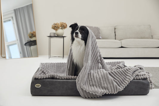 Kuscheldecke VÄRME Breitcord