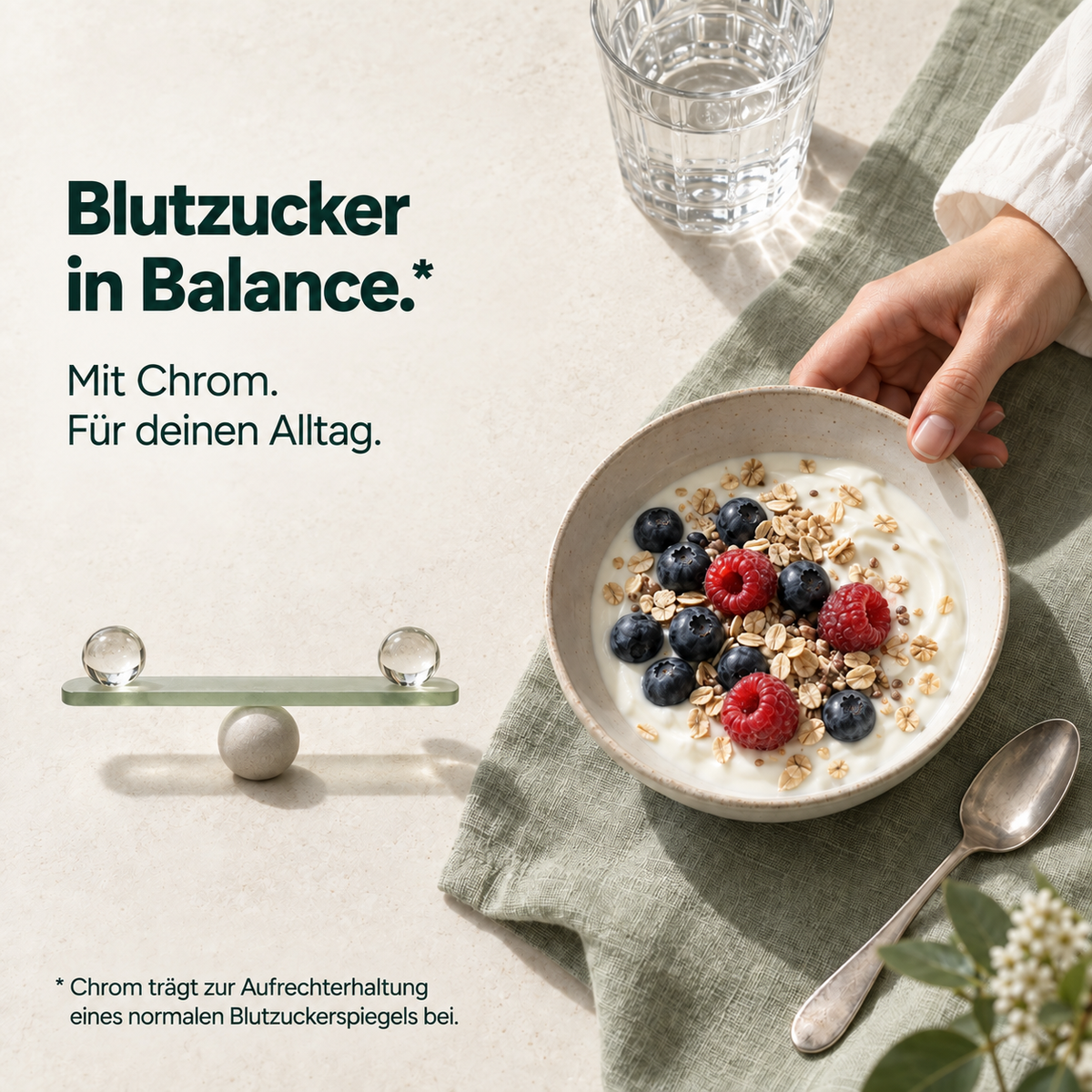 Stoffwechsel Plus – Stoffwechsel Komplex