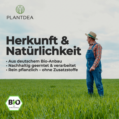 Bio Gerstengras Kapseln