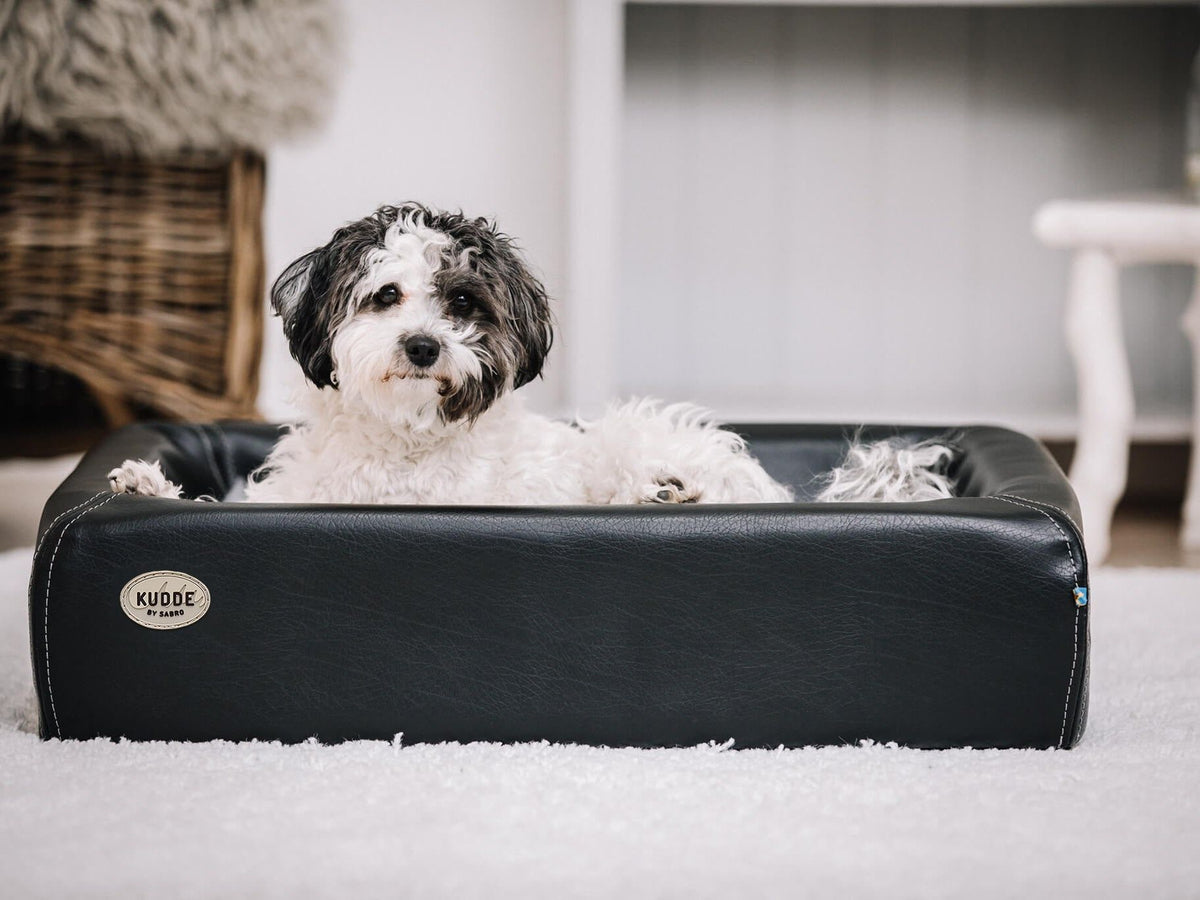 Hundebett KUDDE Kunstleder
