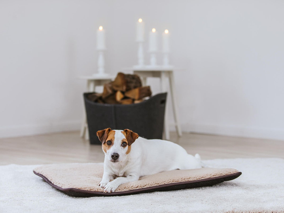 Hundematte HYGGE PAD