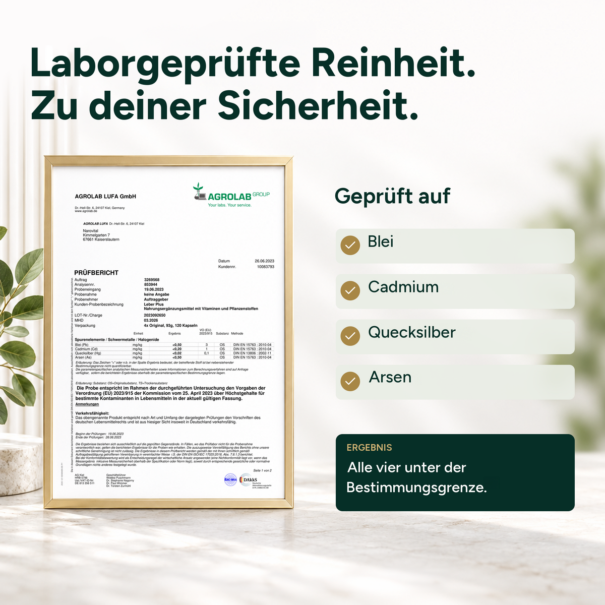 Leber Plus – Mariendistel Komplex