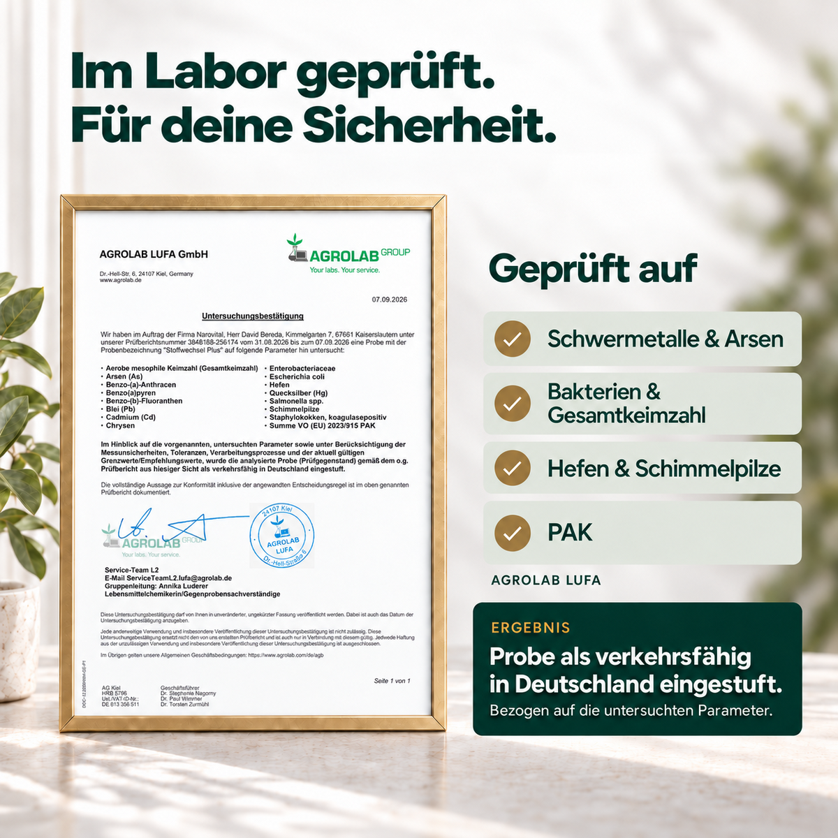Stoffwechsel Plus – Stoffwechsel Komplex