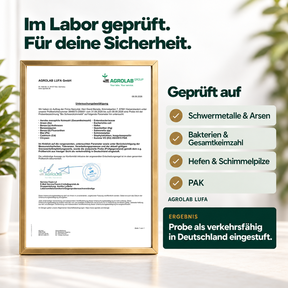 Bio Schwarzkümmelöl Kapseln
