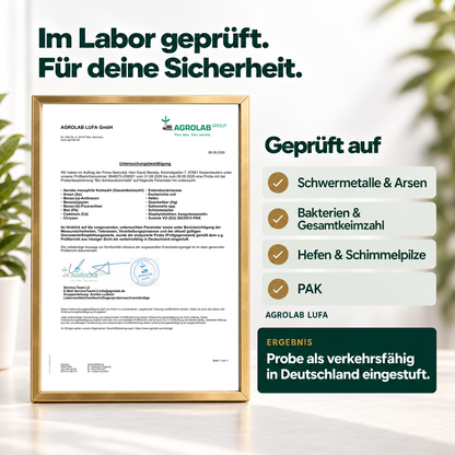 Bio Schwarzkümmelöl Kapseln
