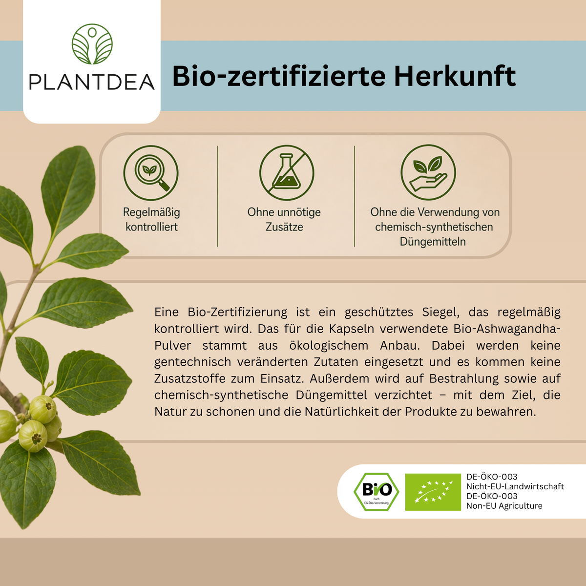 Bio Ashwagandha Kapseln