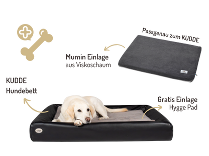 Orthopädisch-Plus Bundle | KUDDE Hundebett + Mumin Einlage Alltid