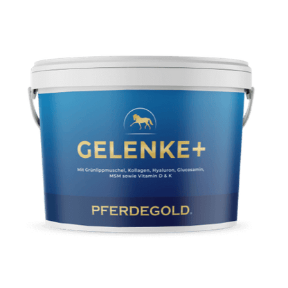 Gelenke+