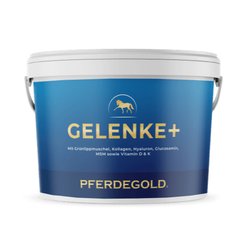 Gelenke+