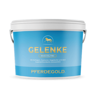 Gelenke Muschelfrei 2.0