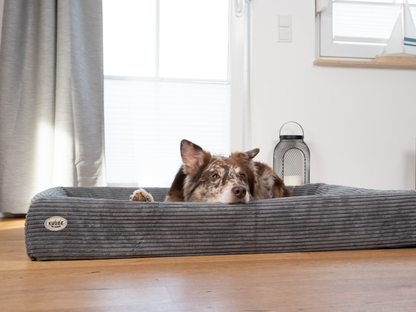 Hundebett KUDDE Cord