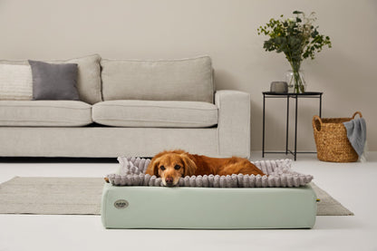 Hundebett KUDDE Pastell Kunstleder