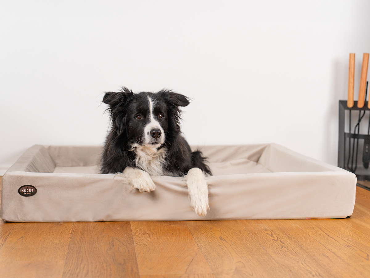 Hundebett KUDDE Samt