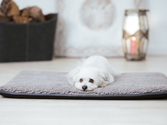 Hundematte HYGGE PAD