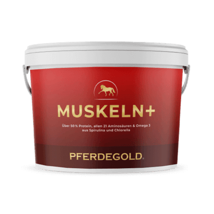 Muskeln+