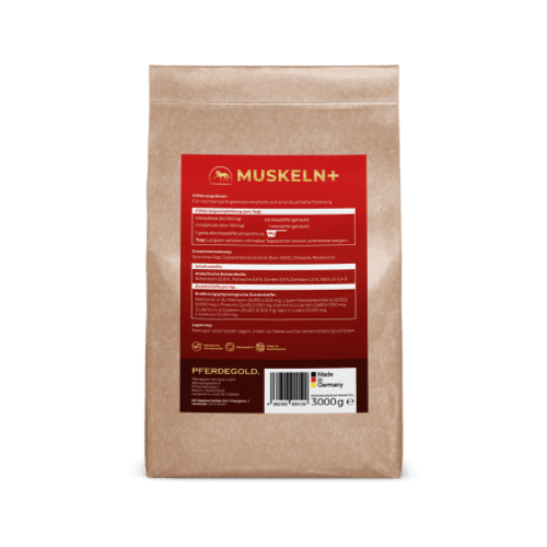 Muskeln+