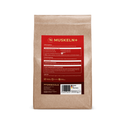 Muskeln+