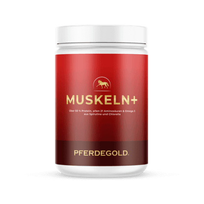 Muskeln+