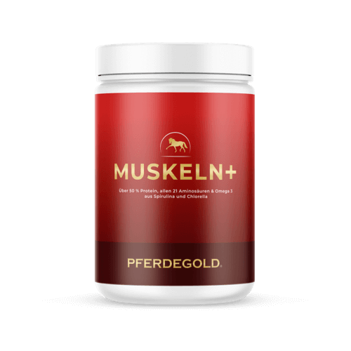 Muskeln+