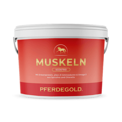 Muskeln Sojafrei