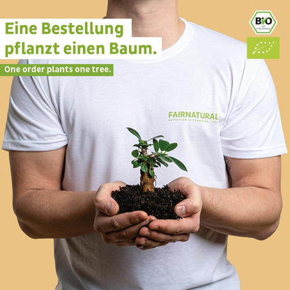 Bio Proteinriegel Vegan Vanille ohne Soja