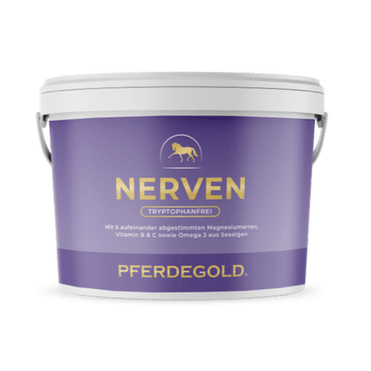 Nerven