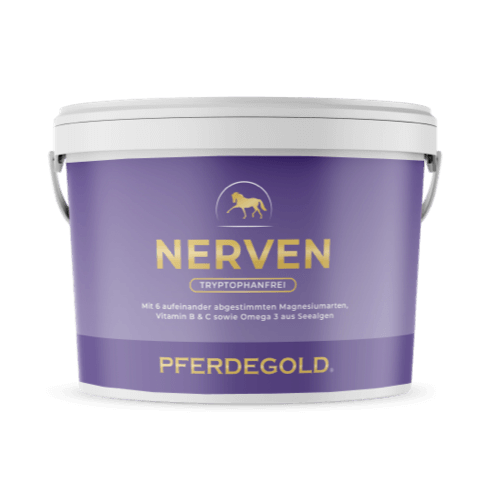 Nerven