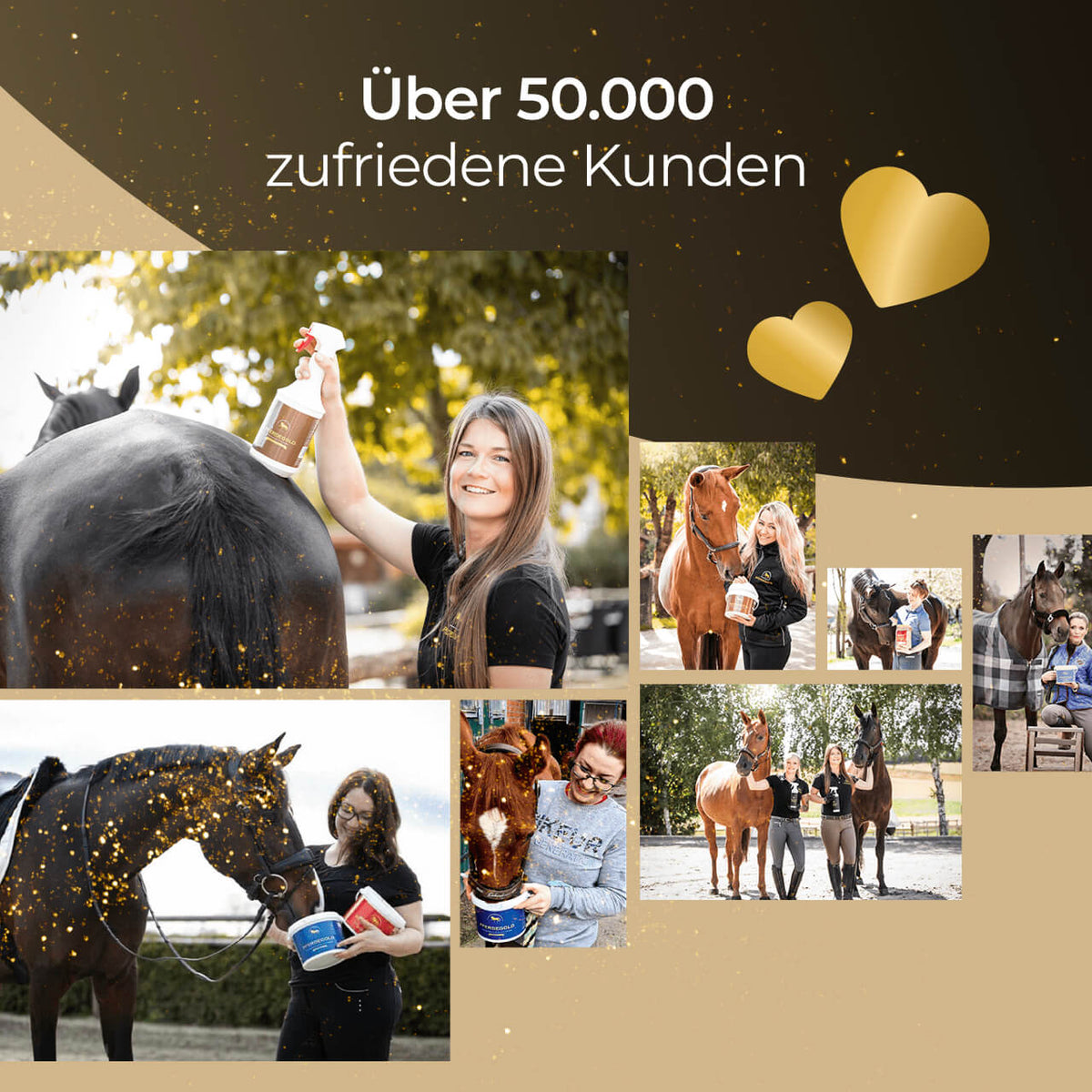 Glanzbürste