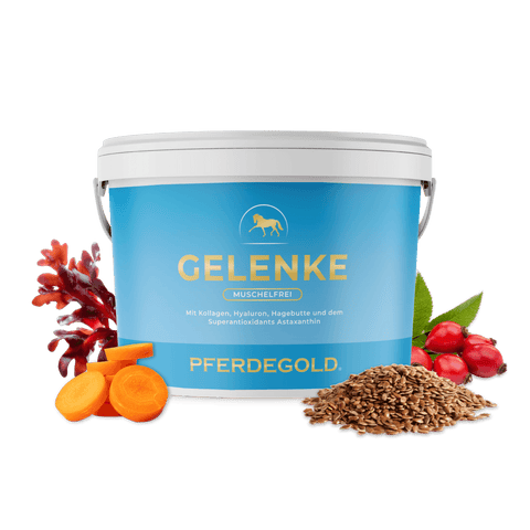 Gelenke Muschelfrei 2.0