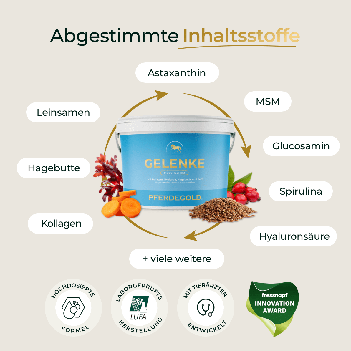 Gelenke Muschelfrei 2.0
