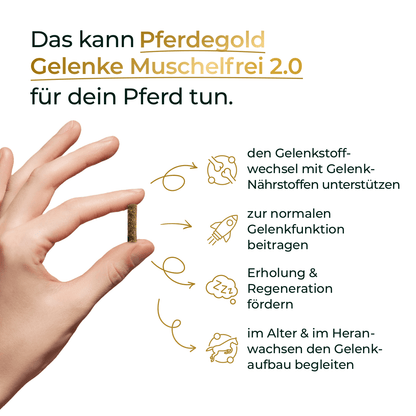 Gelenke Muschelfrei 2.0