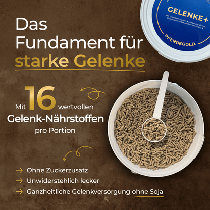 Gelenke+