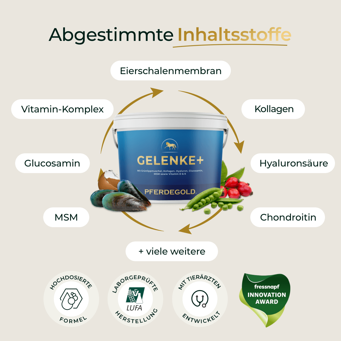 Gelenke+