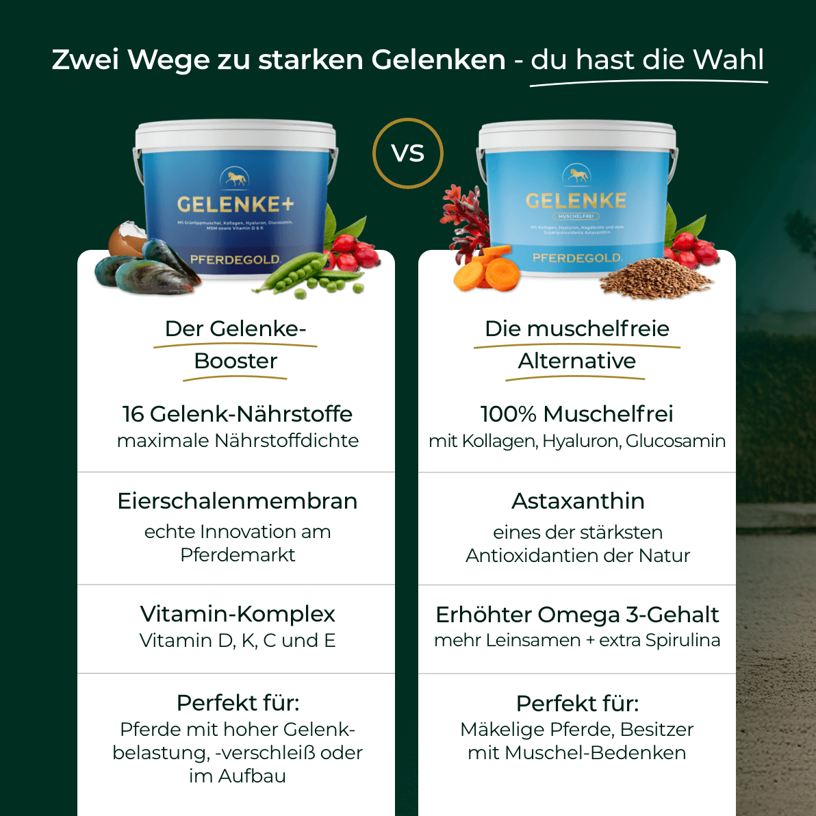 Gelenke+