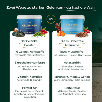 Gelenke+
