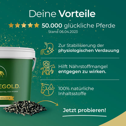 Verdauungsglück