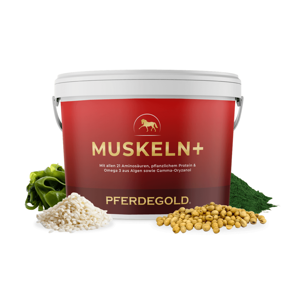 Muskeln+