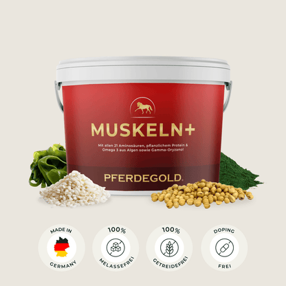 Muskeln+