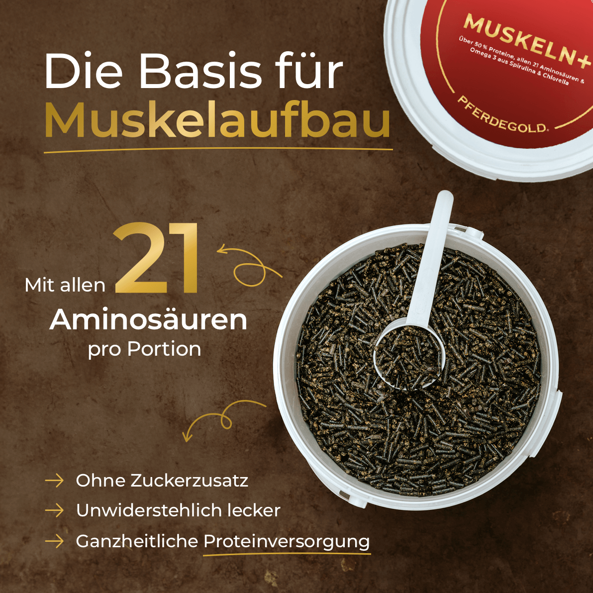 Muskeln+