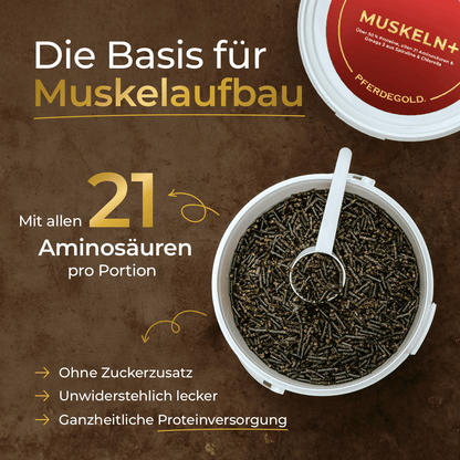 Muskeln+