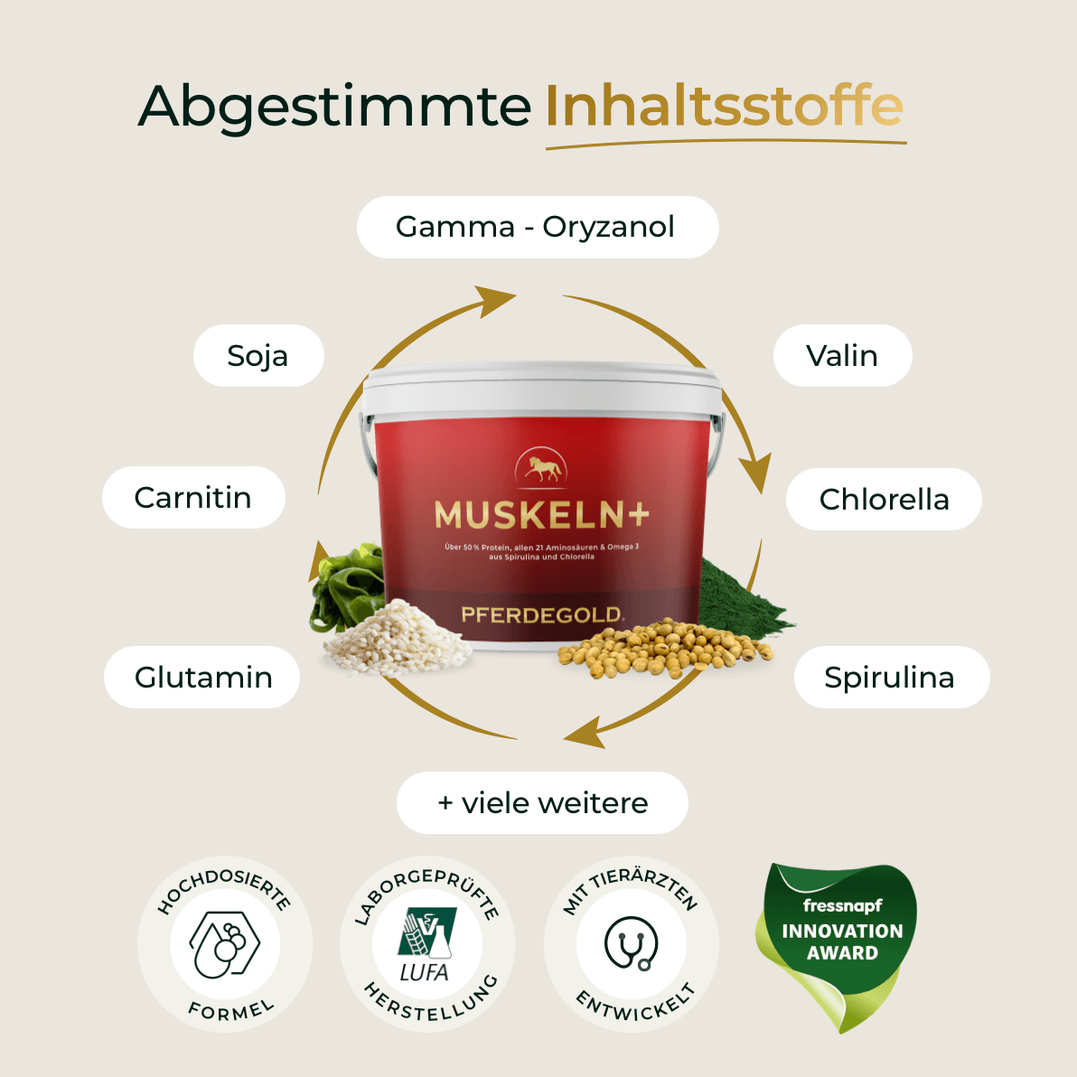 Muskeln+
