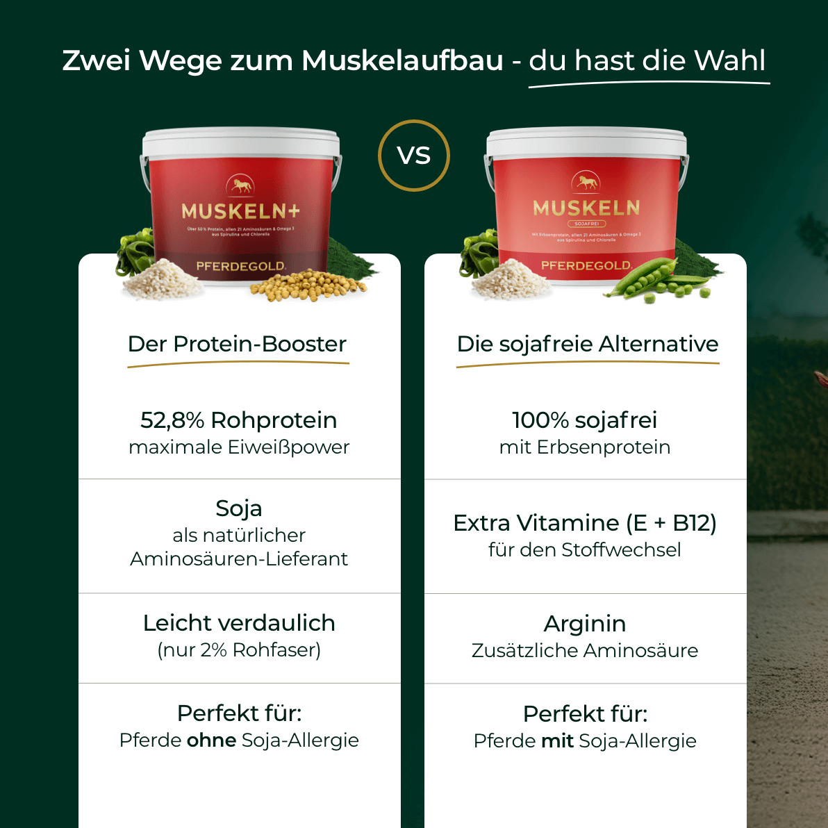 Muskeln+